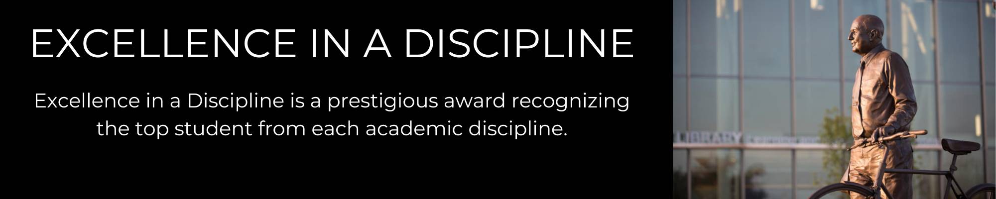 Seidman Excellence in a Discipline Defination